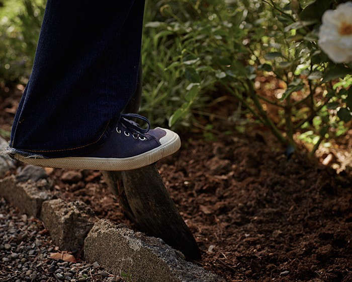 :怎么做个大的植物。约翰·麦克默斯特。
